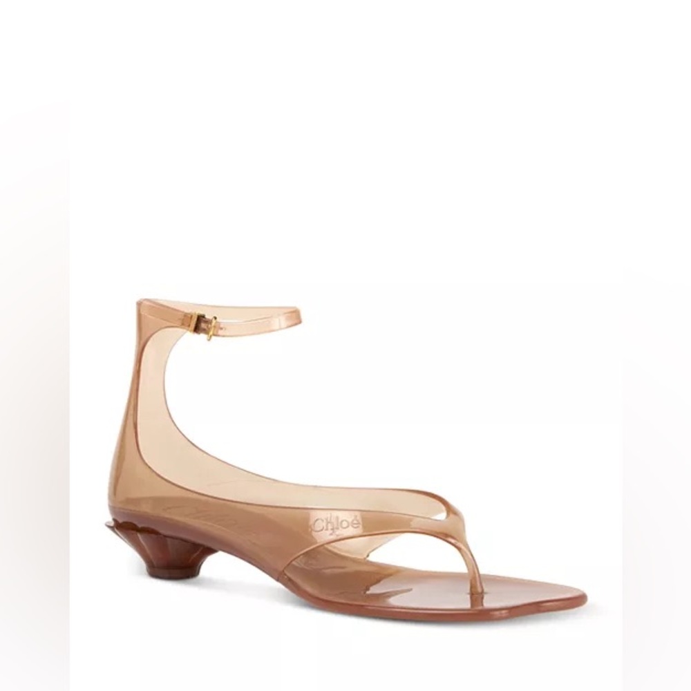 Chloe Brown Sandals Elegant Leather Straps - Picture 2 of 10